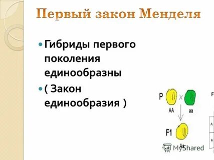 Принцип единообразия