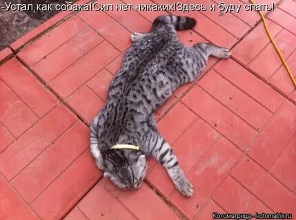 Больше нет сил слушать