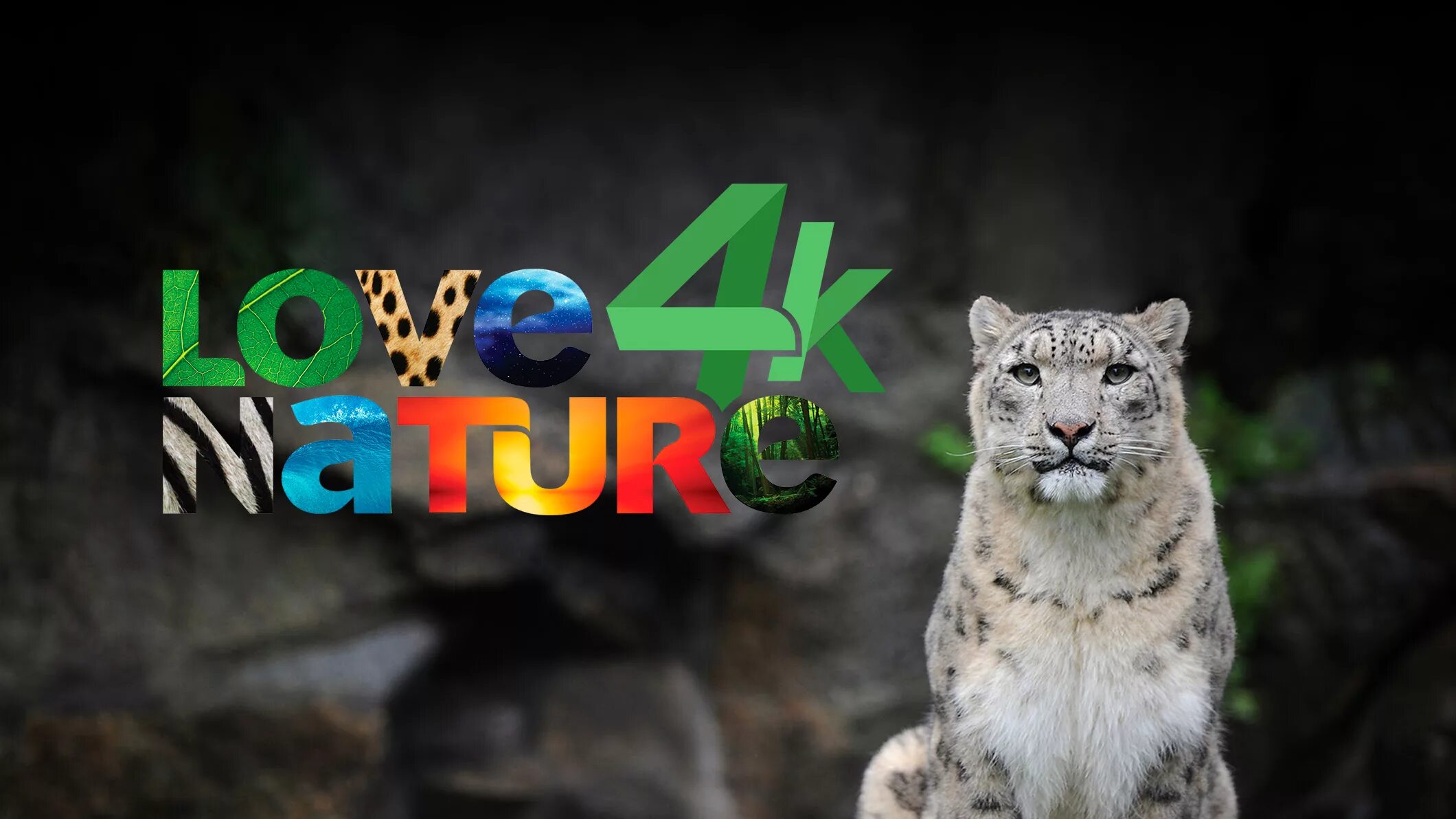 K channel. Телеканал Love nature 4k. Love nature 4k логотип. Телеканал Ultra HD. Телеканал IV nature.