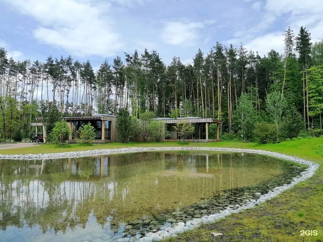 мещерский парк зона пикника. мещерский лес москва парк. мещерский парк солнцево. мещерский парк одинцово. мещерский парк переделкино.