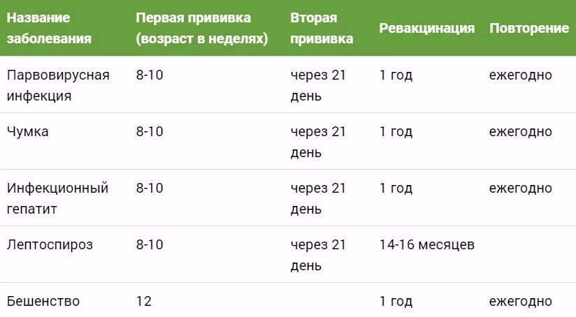 Через сколько можно гулять после 2 прививки. Вакцинация щенков немецкой овчарки таблица. График вакцинации щенков немецкой овчарки. Таблица прививок для собак немецкой овчарки. Какие прививки делаются щенку немецкой овчарки в 2 месяца.