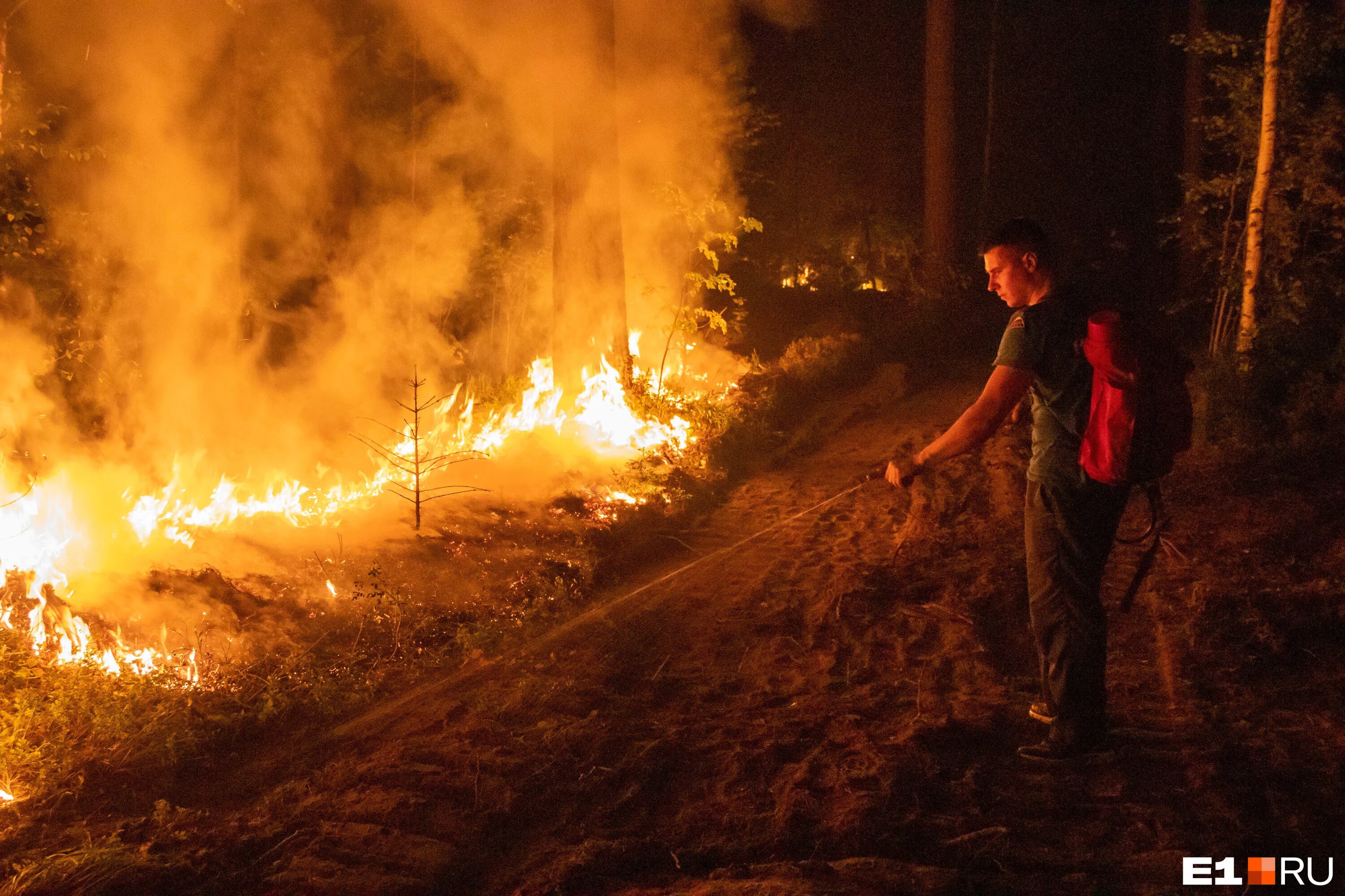 отжиг пожара в лесу.