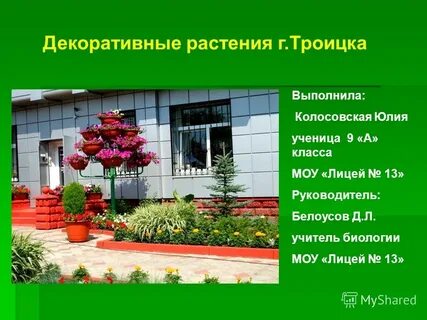 Выбери декоративные растения