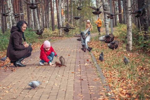 Осенняя прогулка е скрипкина