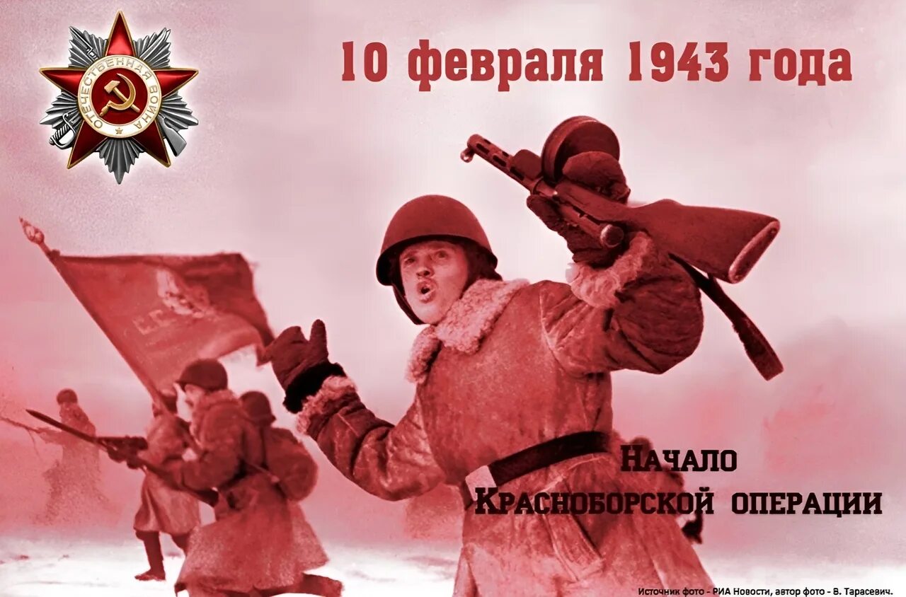 Операции февраль 2023. Красноборской операции 1943 года.. 10 Февраля день.