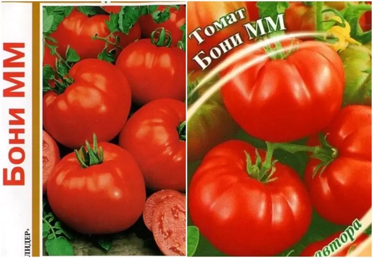 Гавриш томат Бони мм. Бони м томат описание. Сорт помидор Бони эм. Семена томат Бони мм.
