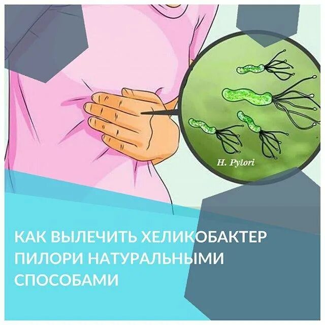 Хеликобактер как передается. Заражение хеликобактер пилори симптомы. хеликобактер пилори симптомы. пути заражения helicobacter pylori. хеликобактериоз пути передачи.