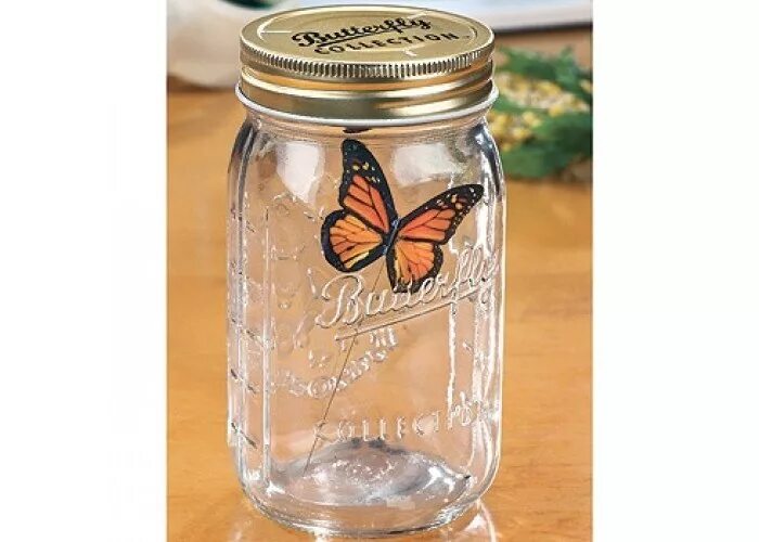 Бабочка в банке. Бабочка в банке. Электронная бабочка в банке. Электронная бабочка в банке. Бабочка в стеклянной банке.