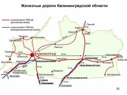Карта калининграда с остановками