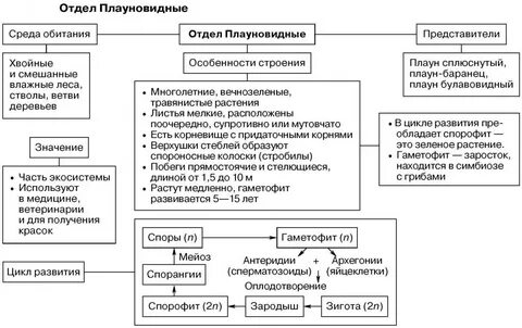 Плауновидные среда обитания таблица