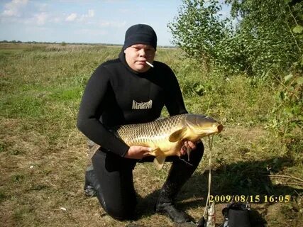 Мы ловили рыбу на битюге