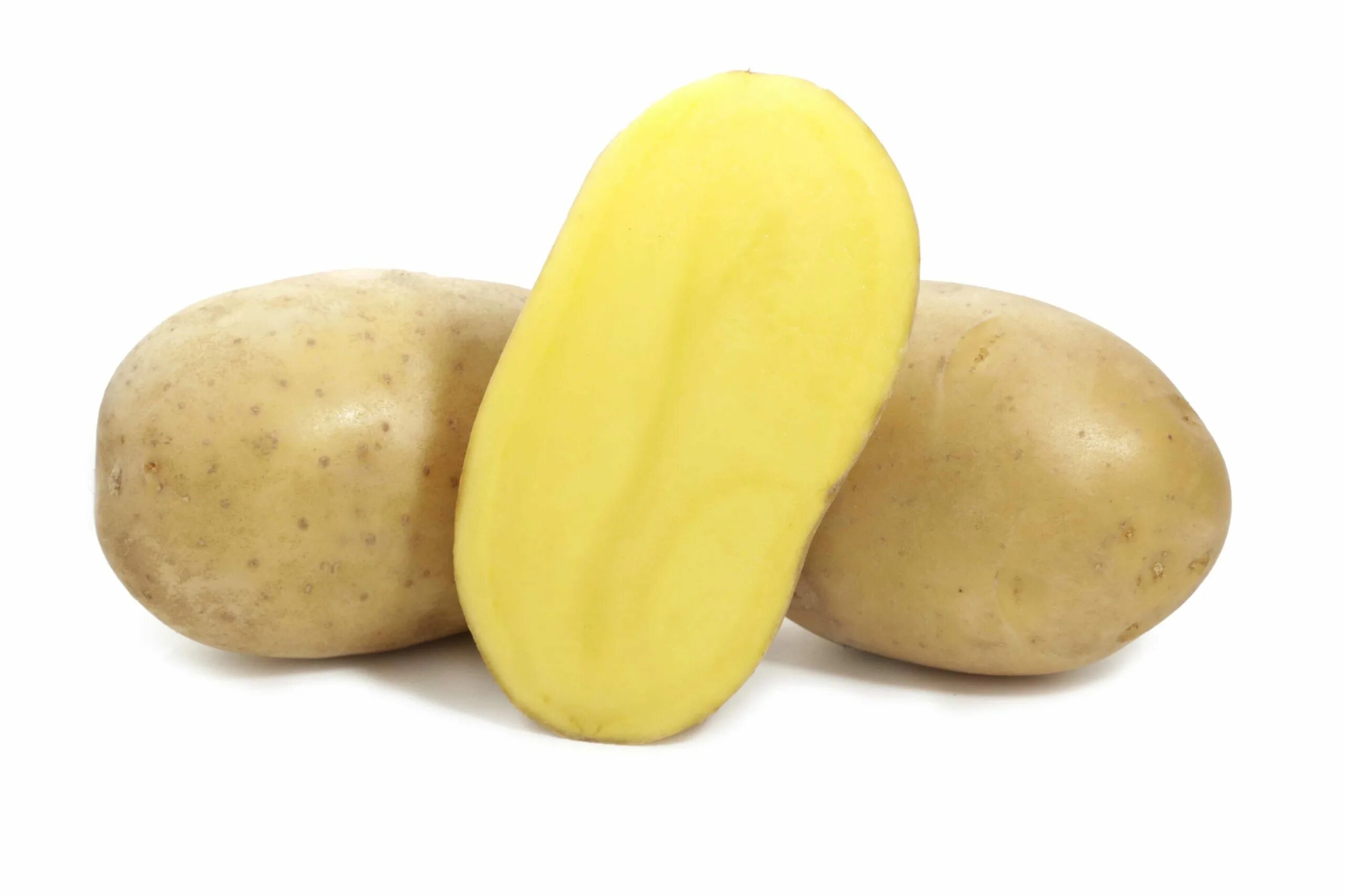 Семенной картофель Вега. Сорт картофеля Вега. Картофель семенной, сорт Вега. Сорт картошки Вега.