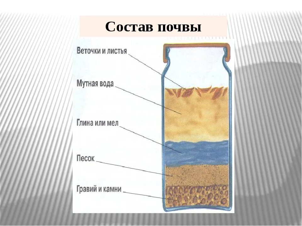 Состав почвы. Строение почвы схема. Состав почвы схема. Почва ее состав и строение. Схематическое строение почвы.