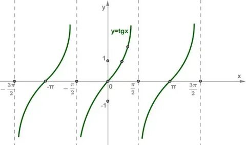 Y tg 1