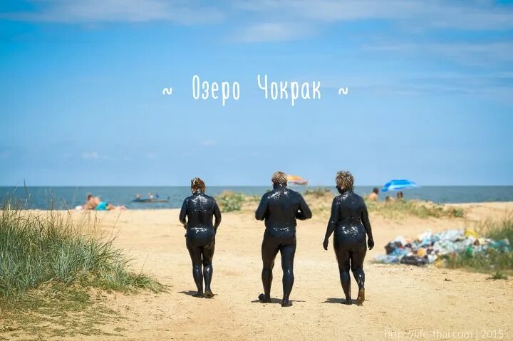 Самый лучший виноград в Крыму! - Журнал Юрия Югансона - LiveJournal