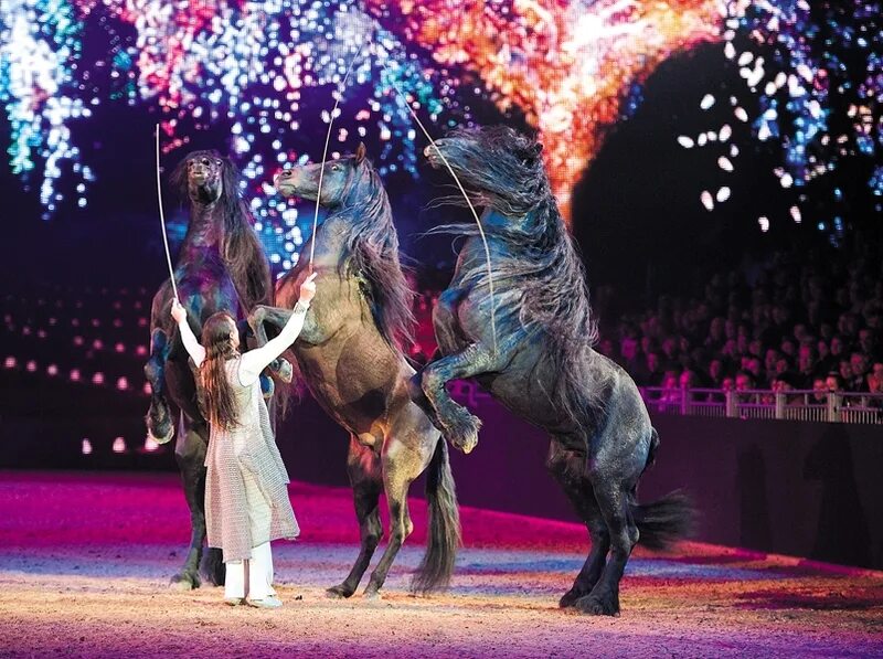 шоу коне. лошадки шоу. конный театр абрау дюрсо. танцующие лошади. конные каскадеры.