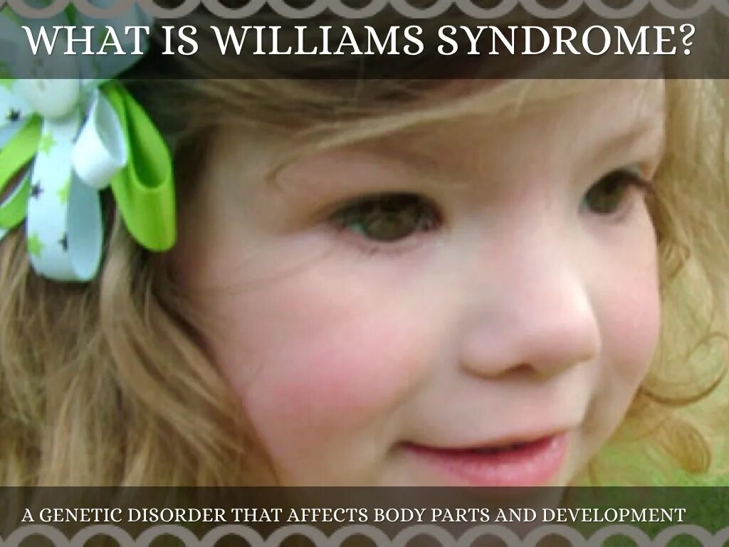 What s william doing