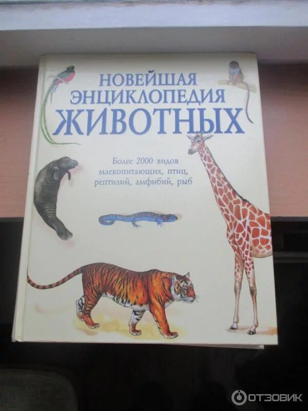 Самые интересные энциклопедии. Самые интересные энциклопедии