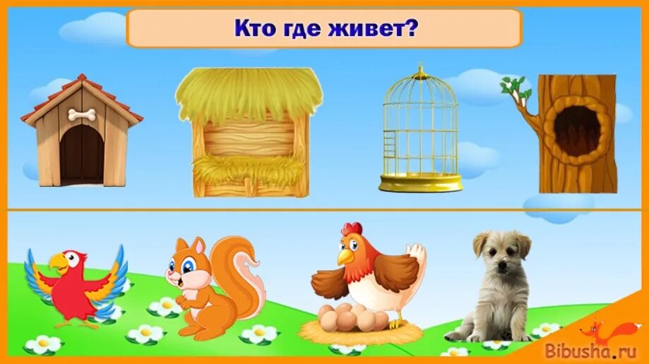 Https new igra ru. Кто где живет. Дидактическая игра кто где живет. Домики животных для детей. Кто где живет игра для детей.