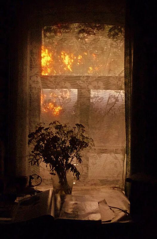 комната в янтарном блеске. комната в янтарном блеске. вся комната янтарным озарена. веселым треском. комната янтарным блеском озарена.