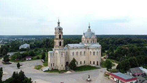 Гусь железный область