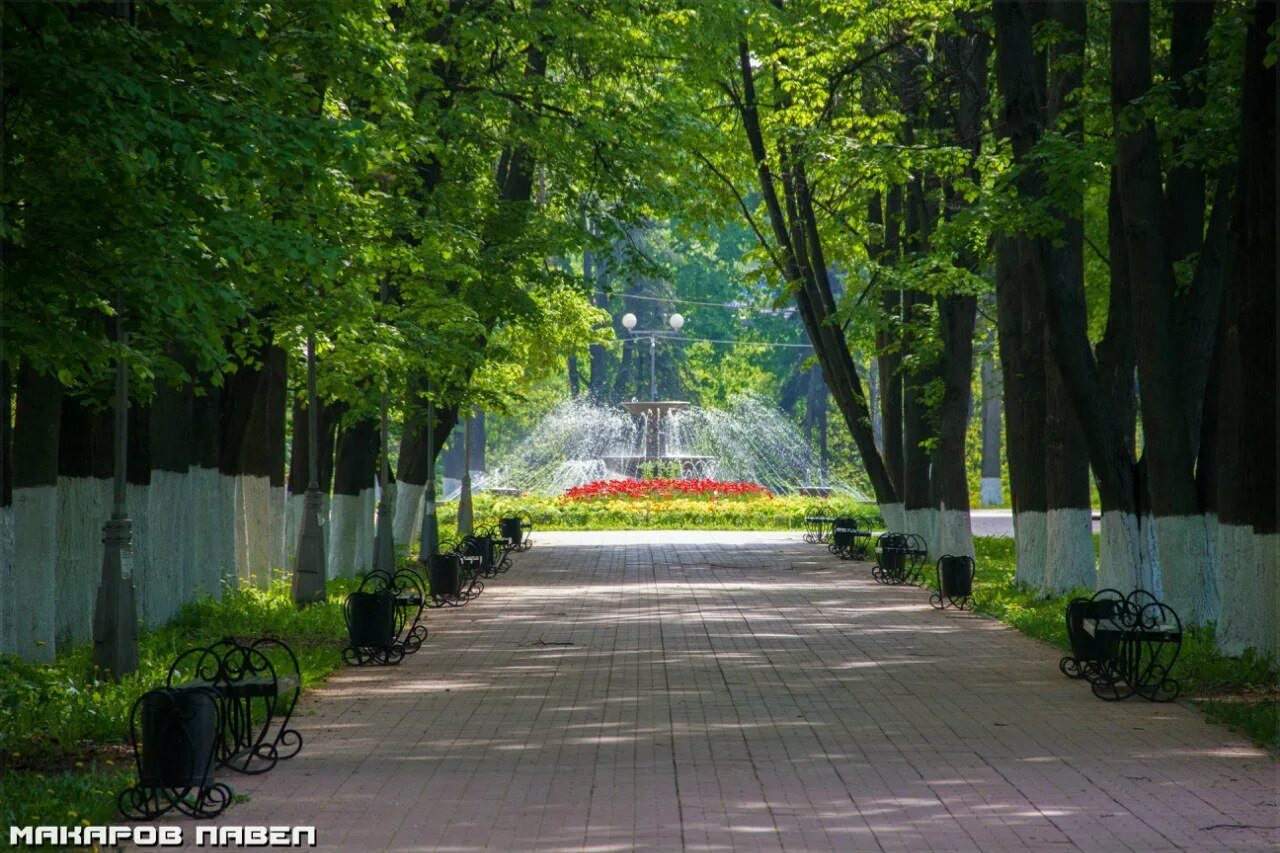 Сады тверь. Парк Победы Тверь. Тверь Горсад аллея. Городской парк Тверь. Парк Победы набережная Тверь.