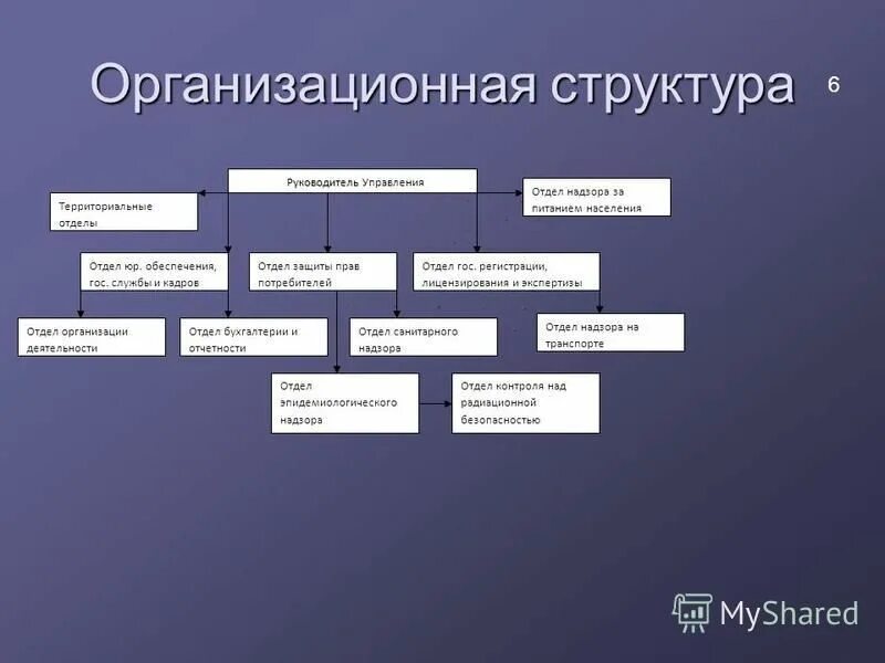 Структура правовых управлений организаций