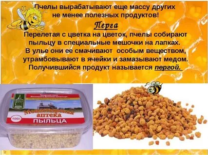 Перга пчелиная чем полезна и как принимать