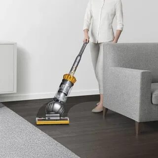 Dyson animal