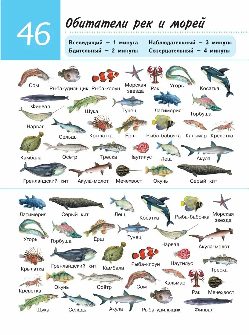 Fish examples