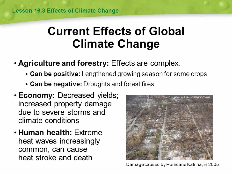 Global warming consequences. Climate change consequences. consequences of global warming. climate change lesson plan.