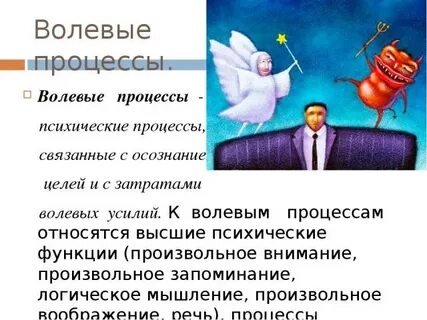 Волевые психические процессы