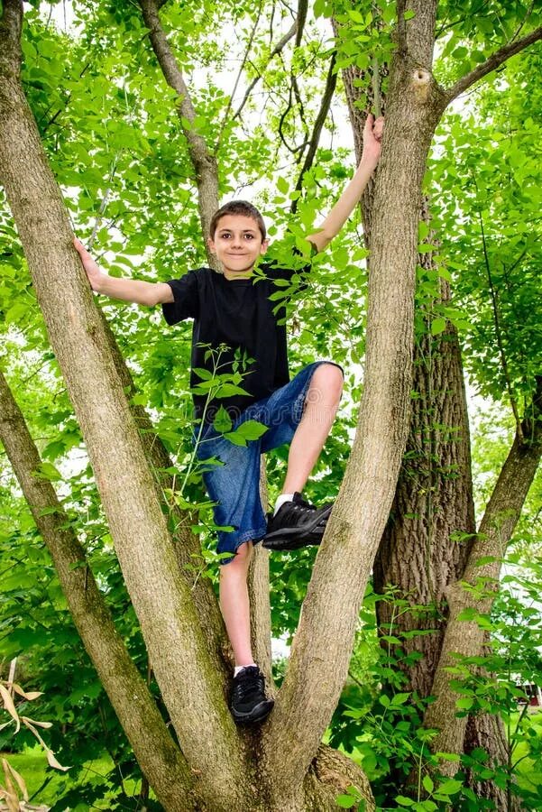Climb a tree swim