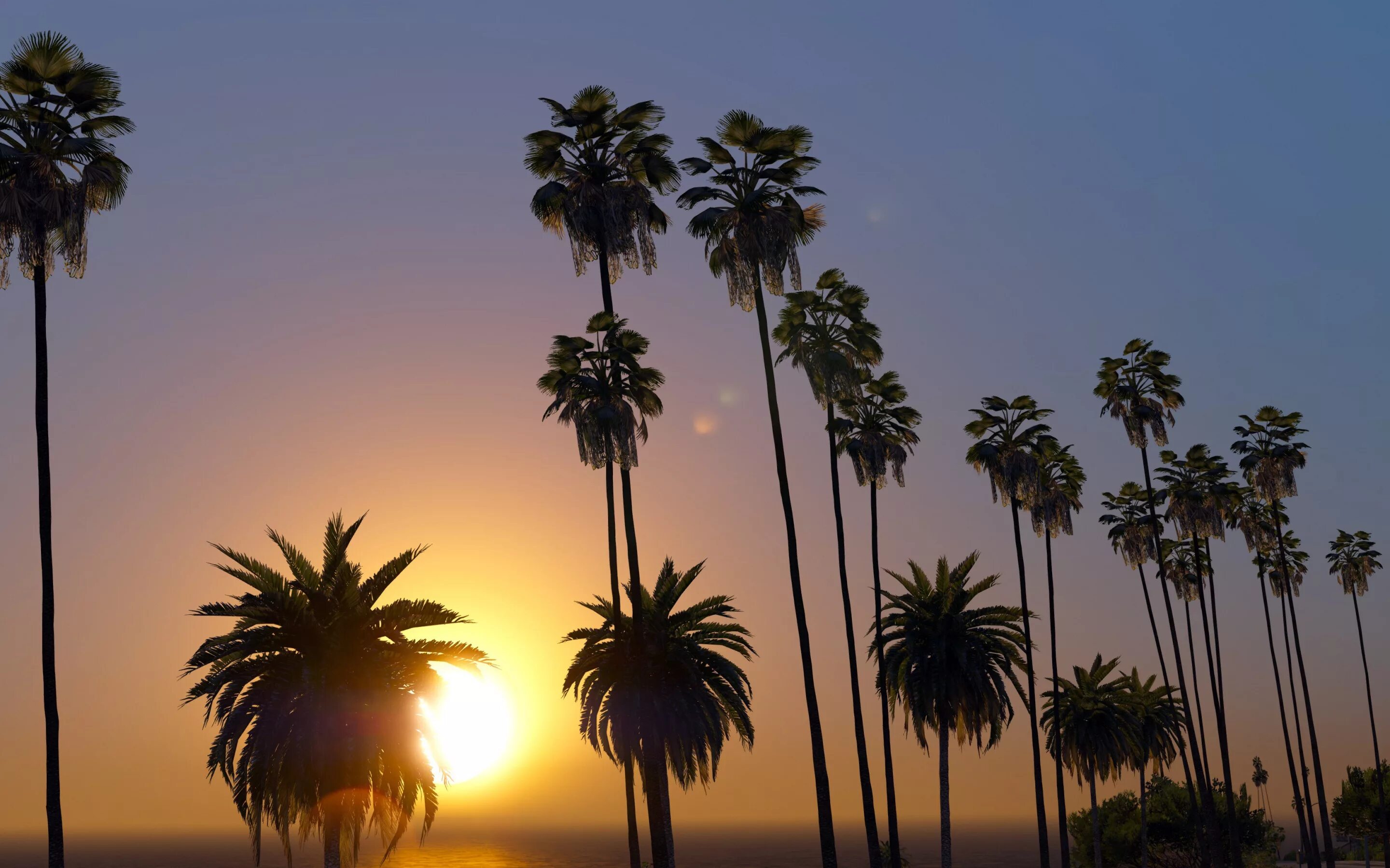 Пальмы в Лос Анджелесе. Высокие пальмы в Лос Анджелесе. Лос Анджелес пальмы дорога. Лос Анджелес пальмы закат.