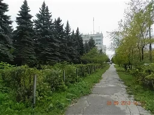 Ели новокуйбышевск