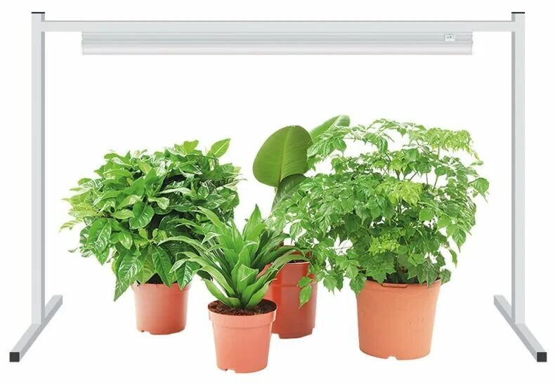 подставка для рассады на подоконник. подставка для фитоламп алт 80. кронштейн универсальный для фитосветильников со струбциной. стойка для фитолампы uniel. подставка под лампу для рассады.