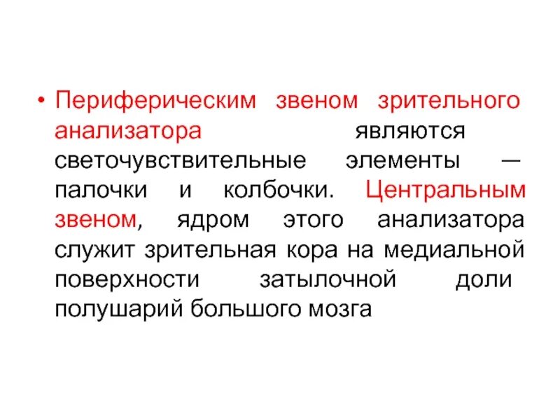 Периферическое звено зрительного анализатора. Периферическое звено. Звенья зрительного анализатора. Воспринимающими звеньями анализаторов являются.