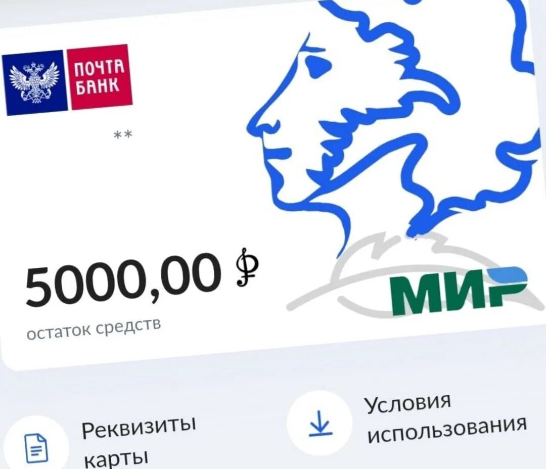 Где использовать пушкинскую карту