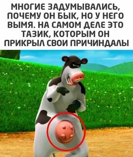 Ой да хорош мне тыкать в морду