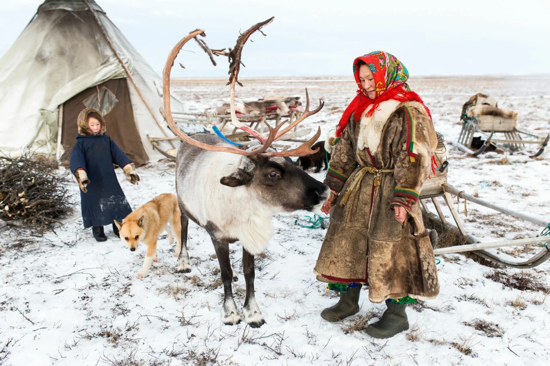 Про северных народов. Народы севера ненцы. Ненцы Ханты манси чукчи. Ненцы в тундре.