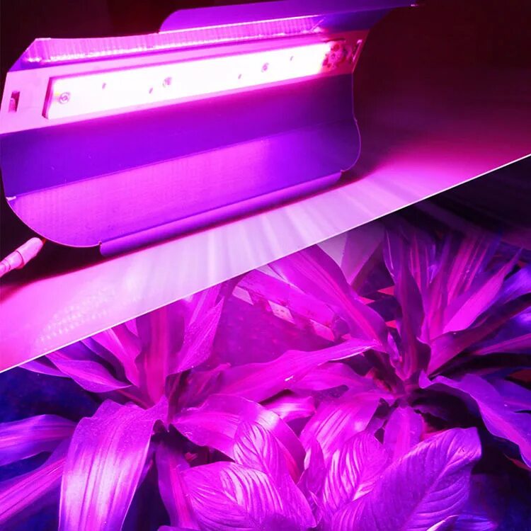 Фитолампа led grow Light. Grow Lights 80 Вт. Светильник led спектр-30. Эра Fito-80w-led-QB. Светодиодные светильники полного спектра