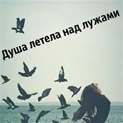 Это ли несчастье душа летела