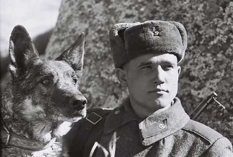 Про пограничников 1941 1945