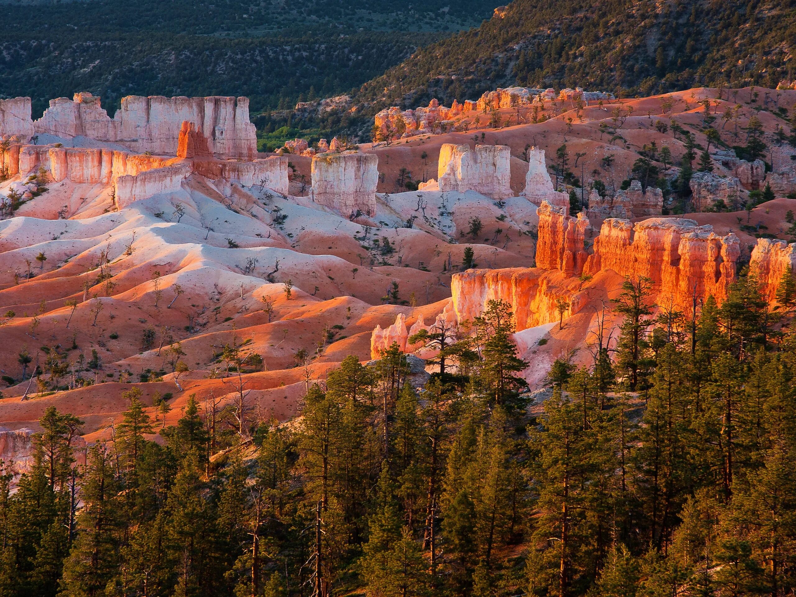 Йосемит северная америка. Национальные парки сша. Национальный парк йосемити калифорния. Национальный парк йосемити (штат калифорния). Йосемити.