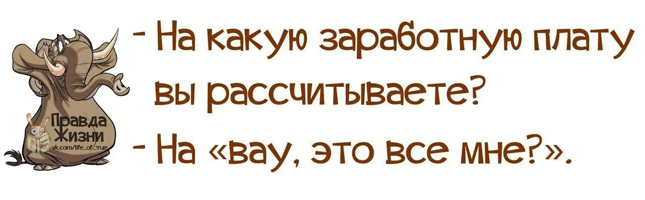 На какую зарплату вы рассчитываете. Правда жизни. Не рассчитывай на меня. Вау это все мне. Форумы рассчитывай