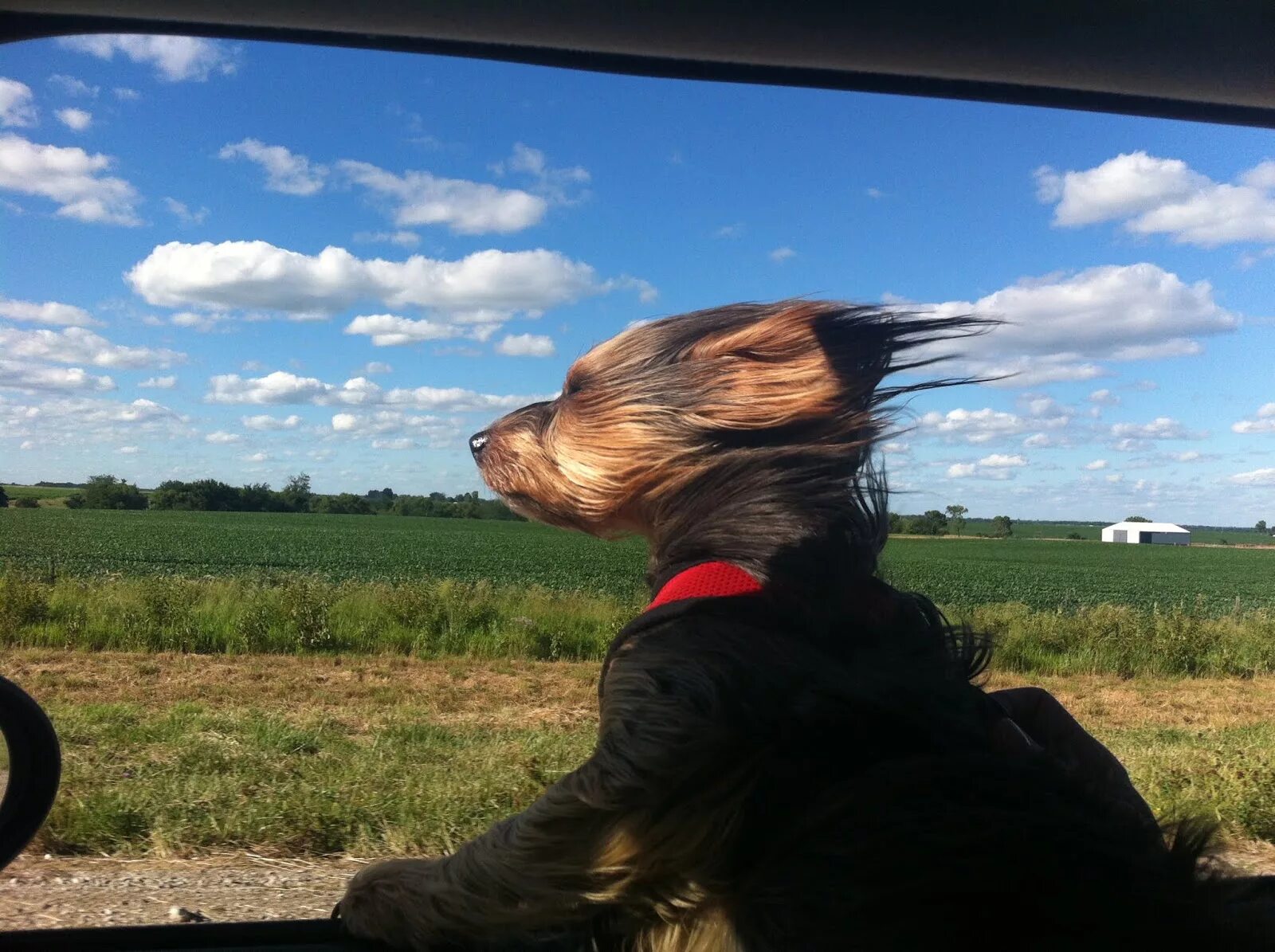 Лечу волосы назад. Твои волосы назад. Картинка бег волосы назад. Волосы назад мем. Твои волосы назад.