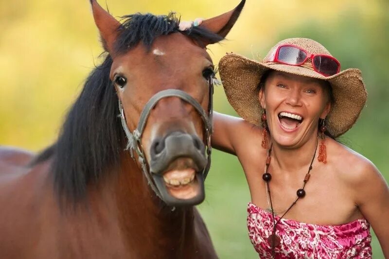 Группа юмор жизни. Лошадиная улыбка. Лошадь ржет. Лошадь улыбается. Лошадиная улыбка у девушек.