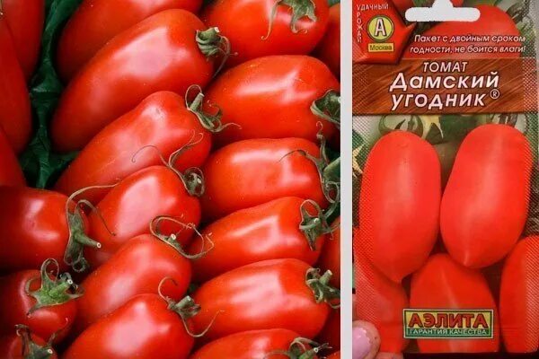 Томат дамский угодник характеристика. Томат дамский угодник. Помидоры дамский угодник. Томаты казанова , дамский угодник. Семена томат дамский угодник.