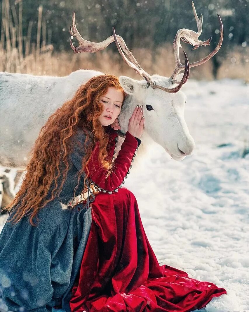 Девочка на олене. Девушка олень. фотосессия с оленем. сказочная фотосессия. красивая девушка и олень.