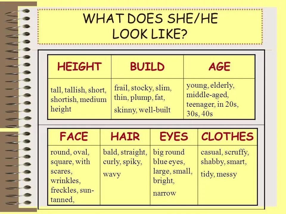 План описания человека на английском языке. Описание внешности на английском языке план. Внешность Vocabulary. Describing people. Short topics